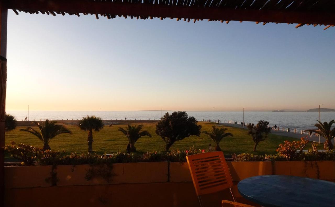 קייפטאון Dolphin Inn Guesthouse מראה חיצוני תמונה